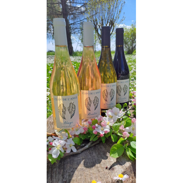 vin-sudouest-duras-closdelange-coffretbiais-1000