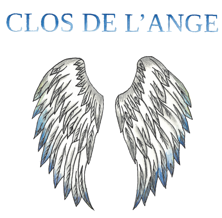 vin-sudouest-duras-closdelange-logo